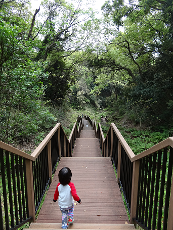 子綱代の森歩道