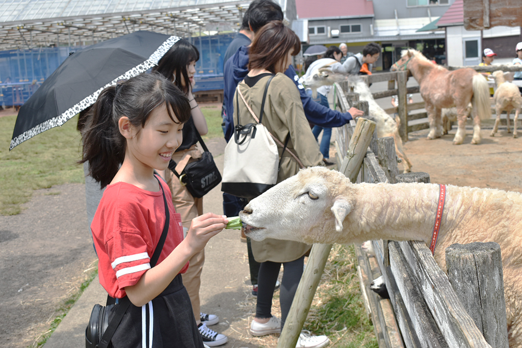 社員旅行　熱海　オラッチェ牧場